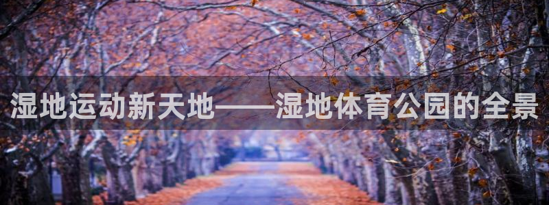 湿地运动新天地——湿地体育公园的全景