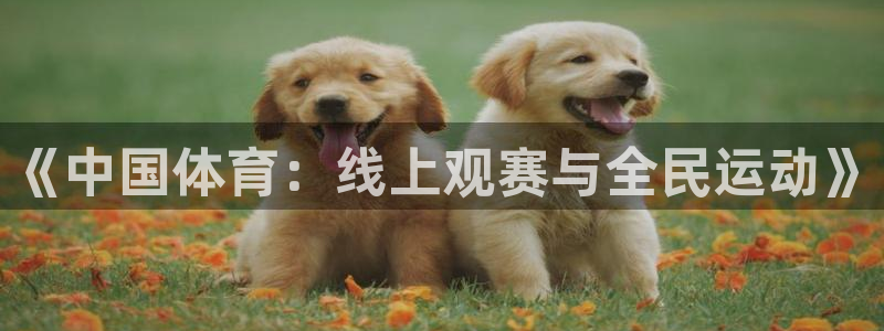 《中国体育：线上观赛与全民运动》