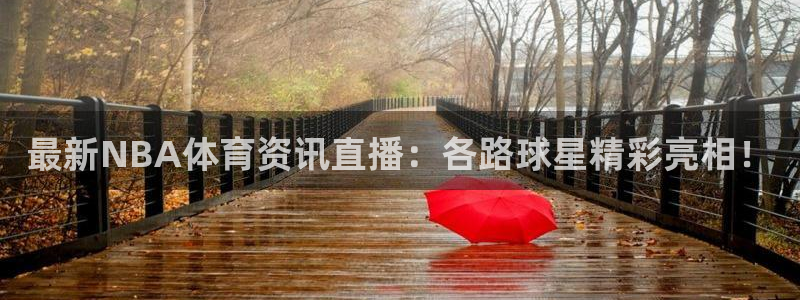 最新NBA体育资讯直播：各路球星精彩亮相！