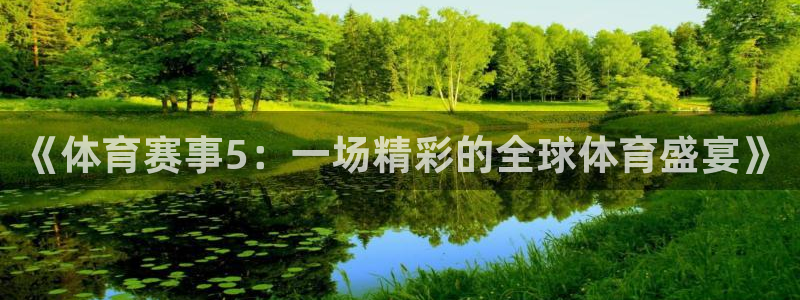 《体育赛事5：一场精彩的全球体育盛宴》