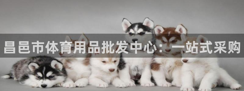 杏耀app下载：昌邑市体育用品批发中心：一站式采购