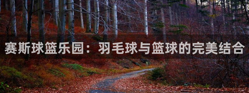 杏耀vk：赛斯球篮乐园：羽毛球与篮球的完美结合