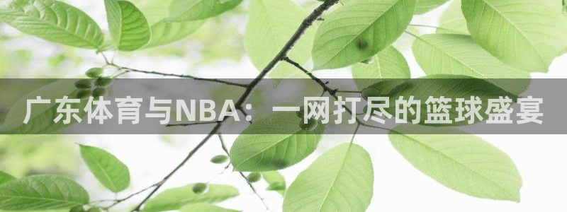 杏耀f凯捷注册：广东体育与NBA：一网打尽的篮球盛宴