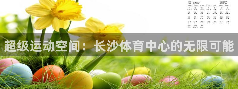 杏耀登陆：超级运动空间：长沙体育中心的无限可能