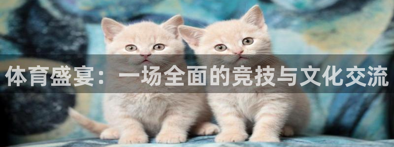 杏耀平台手机登录：体育盛宴：一场全面的竞技与文化交流