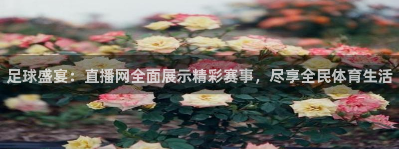 杏耀体育平台开号链接：足球盛宴：直播网全面展示精彩赛事，尽享全民体育生活