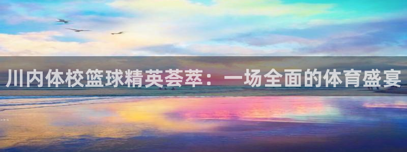 杏耀平台：川内体校篮球精英荟萃：一场全面的体育盛宴