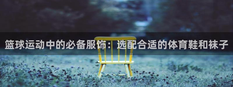 杏耀平台官网：篮球运动中的必备服饰：选配合适的体育鞋和袜子